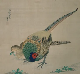 掛け軸（キジのペア）